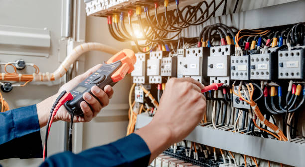 Best Home Electrical Repair  in Palmview, TX