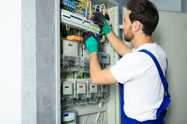 Best Electrical System Inspection  in Palmview, TX